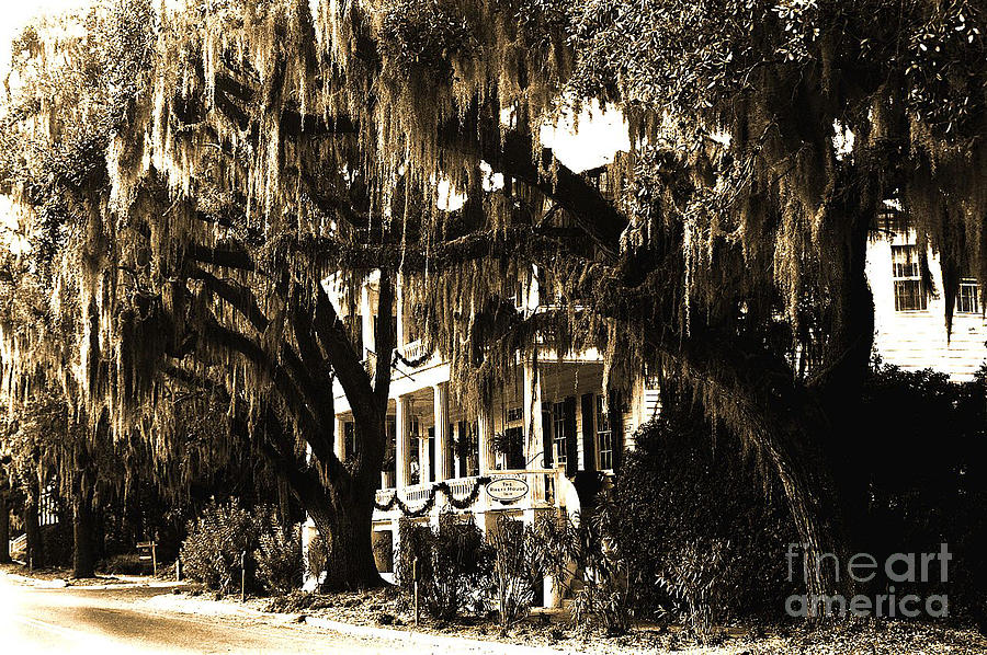 Spanish Moss On Trees Photograph - Savannah Georgia Haunting Surreal Southern Mansion With Spanish Moss by Kathy Fornal