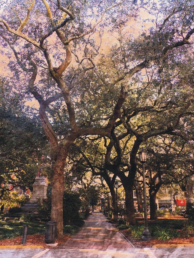 Savannah Live Oak Canopy Photograph by Joe Duket