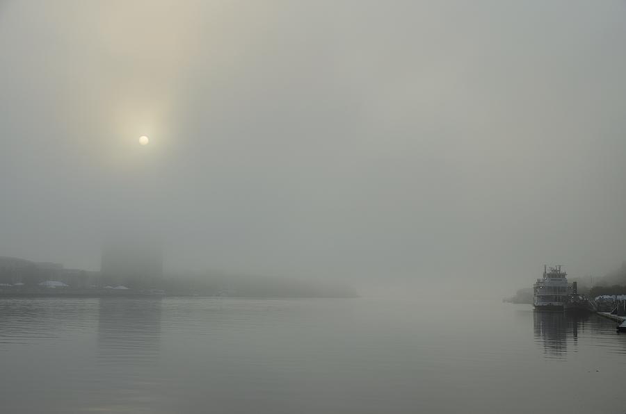 Savannah Morning Fog Photograph by Steven Richman
