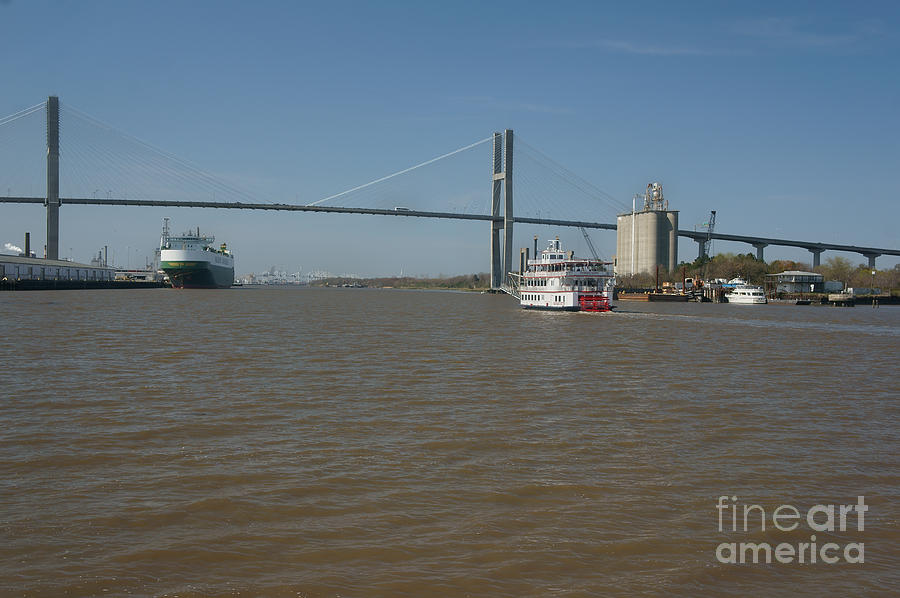 Savannah riverboat Talmadge bridge Photograph by Ules Barnwell