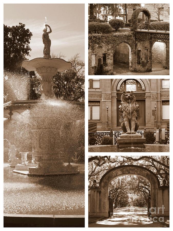 Savannah Scenes Collage in Sepia Photograph by Carol Groenen