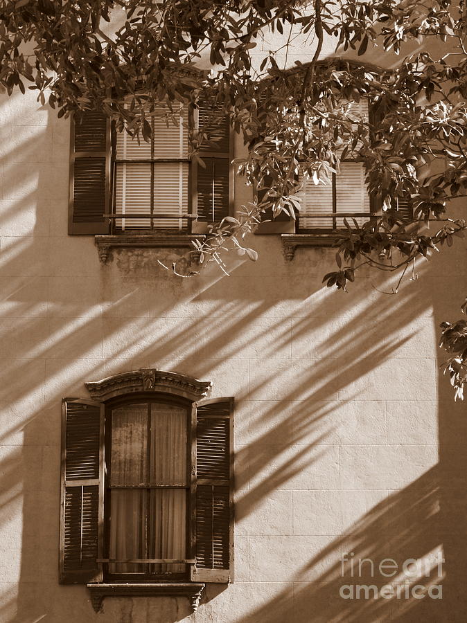 Savannah Sepia - Windows Photograph by Carol Groenen