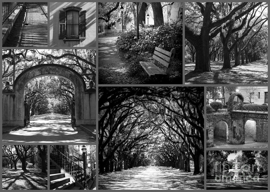 Black And White Photograph - Savannah Shadows Collage by Carol Groenen