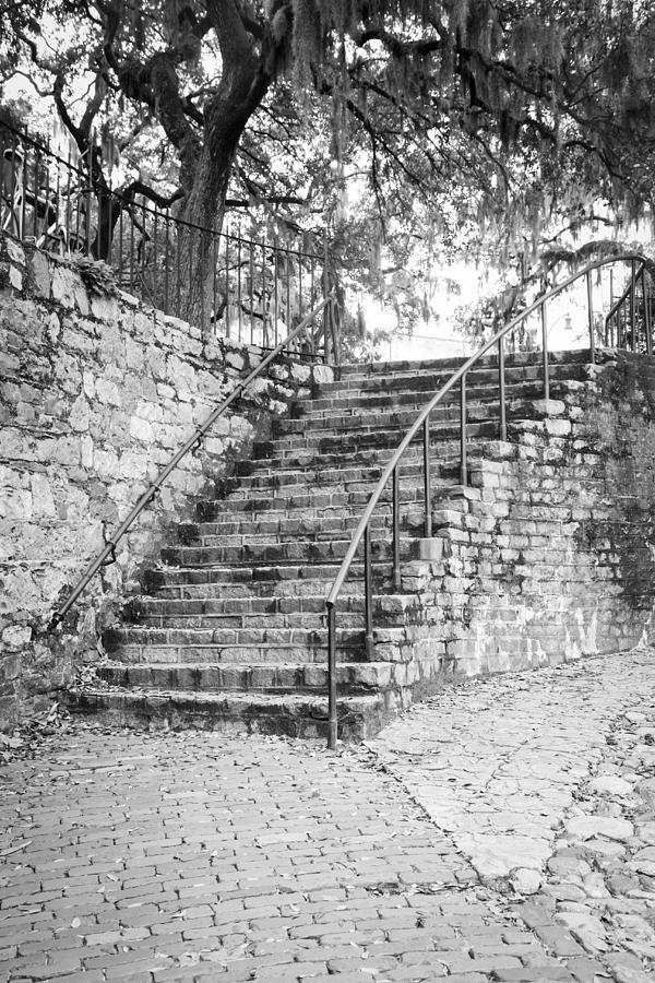 Savannah Staircase - Black and White Photograph by Erin Cadigan