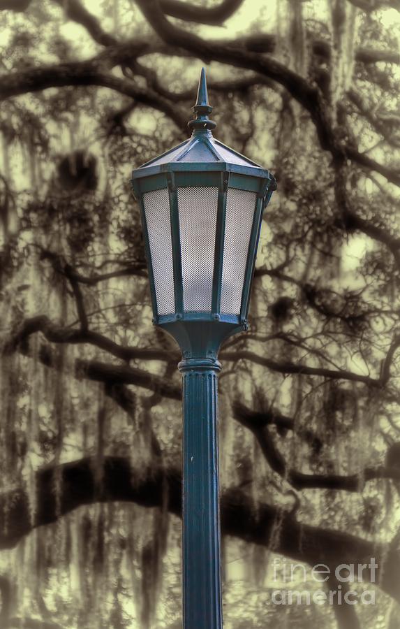 Savannah Streetlamp Photograph by Henry Kowalski