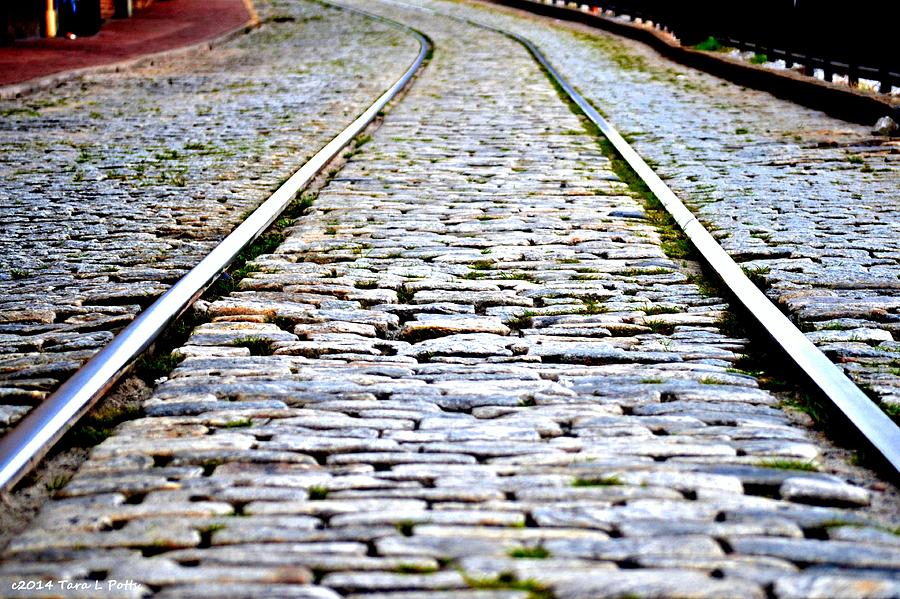 Savannah Trolley Tracks Photograph by Tara Potts