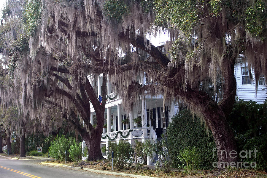 South Carolina Homes Photograph - Savannah Victorian Mansion Hanging Moss Trees by Kathy Fornal