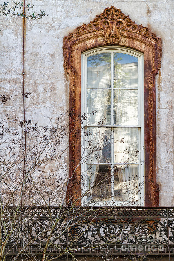 Savannah Window Savannah Georgia Photograph by Dawna Moore Photography