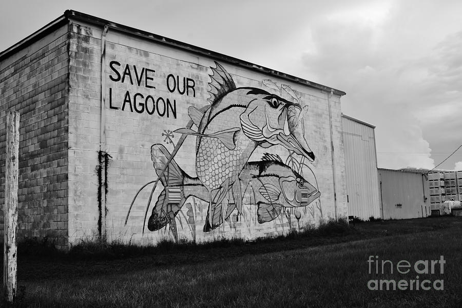 Save Our Lagoon B W Photograph by Lynda Dawson-Youngclaus