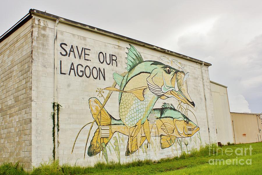 Save Our Lagoon Photograph by Lynda Dawson-Youngclaus
