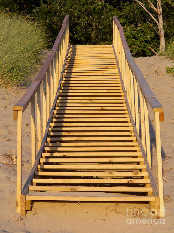Save The Dunes - Use The Steps Photograph