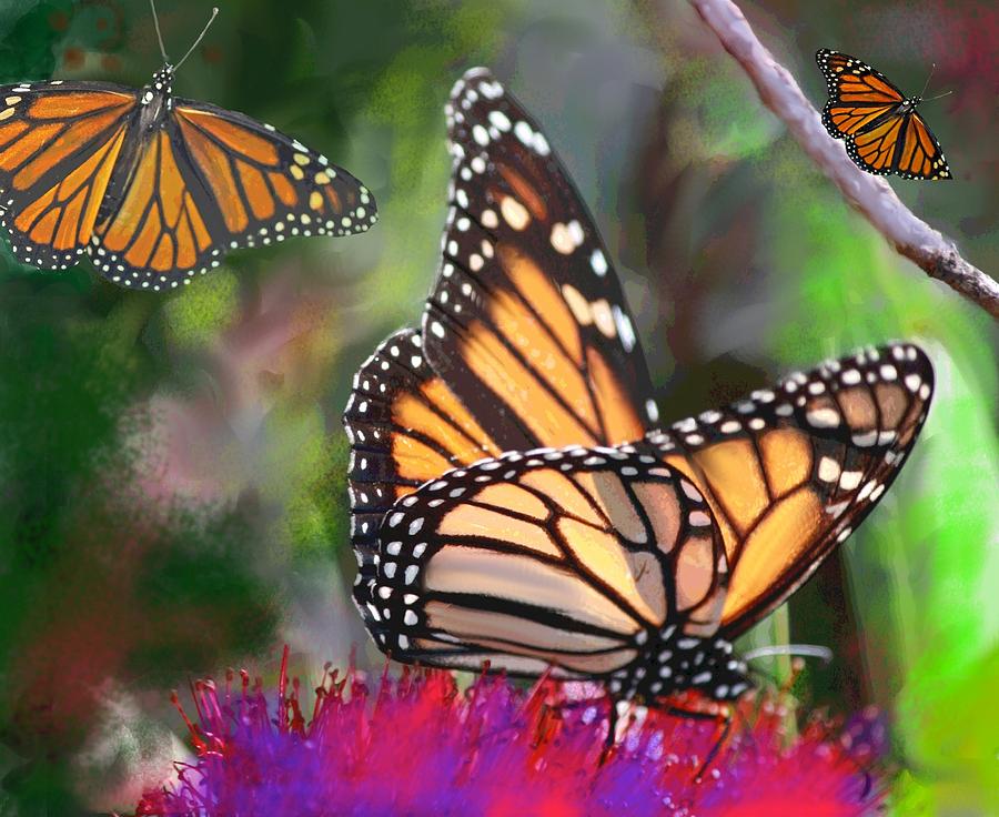 Save the Monarchs Digital Art by Mary Armstrong