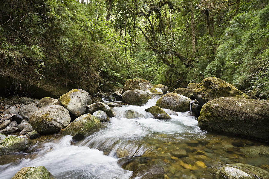 Savegre River In Rainforest Costa Rica Photograph by Konrad Wothe