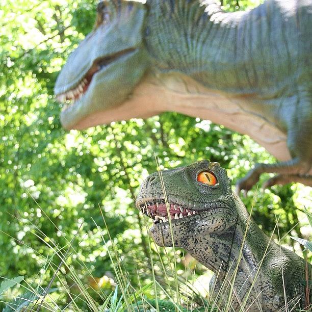 Cleveland Photograph - Saw Some #dinosaurs At The #cleveland by Pete Michaud