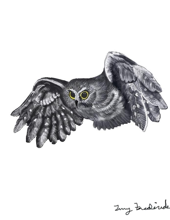 Saw-Whet Owl Digital Art by Terry Frederick