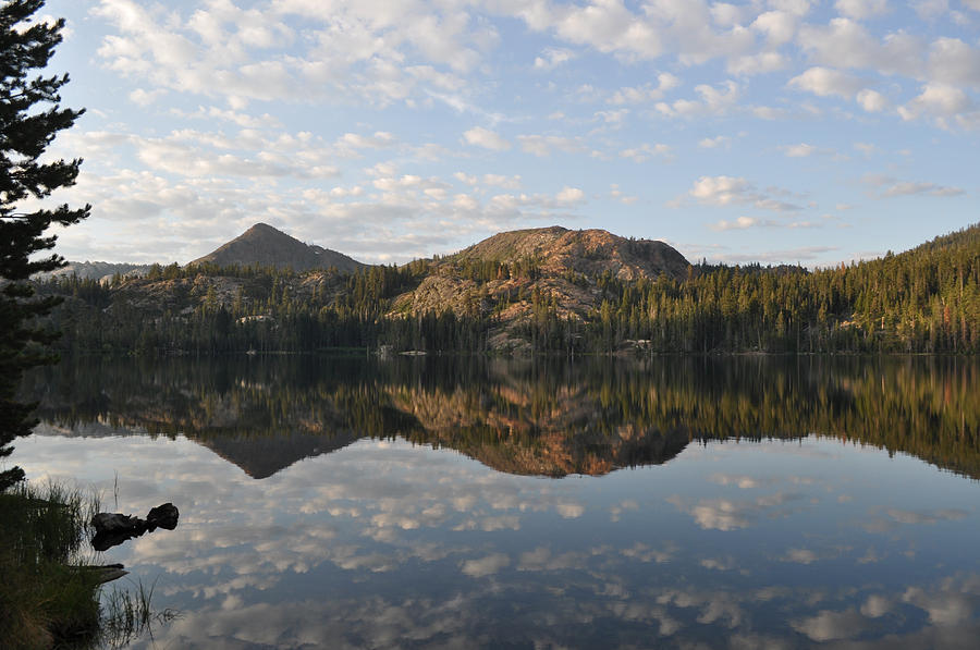 Sawmill Lake Reflection Photograph by Shelley Ewer