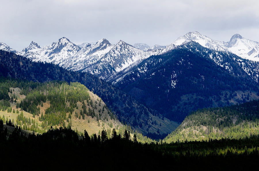 Sawtooth Range Photograph by Theodore Clutter