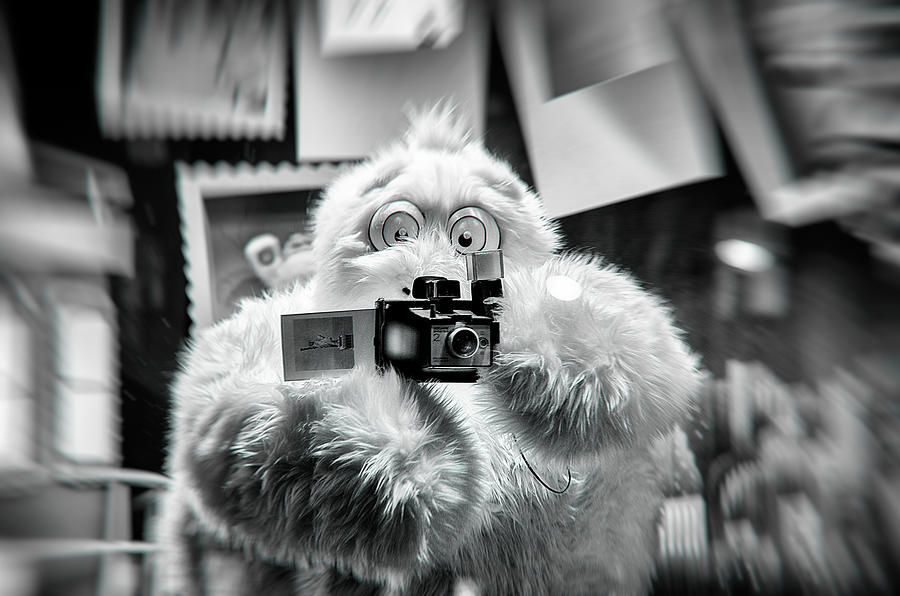 Say Abominable Photograph by Scott Wyatt