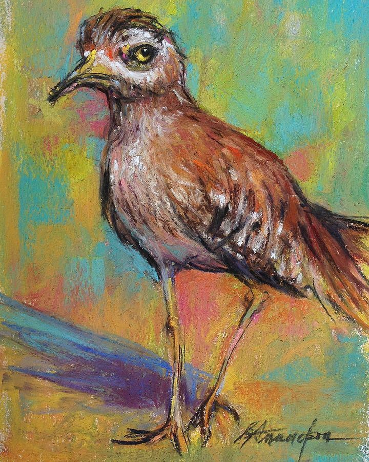 Bird Pastel - Say What by Beverly Amundson Bird Pastel - Say What by Beverly Amundson