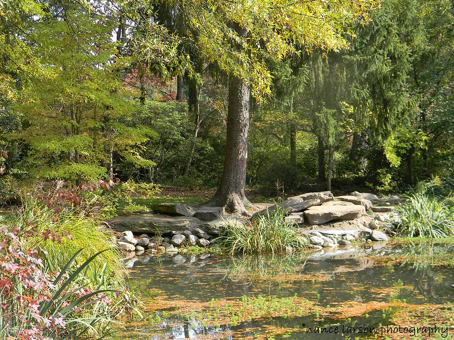 Sayen Gardens Pond Photograph By Nance Larson - Fine Art America