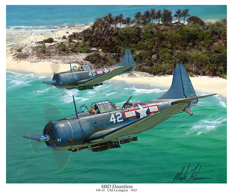 Airplane Painting - SBD Dauntless by Mark Karvon