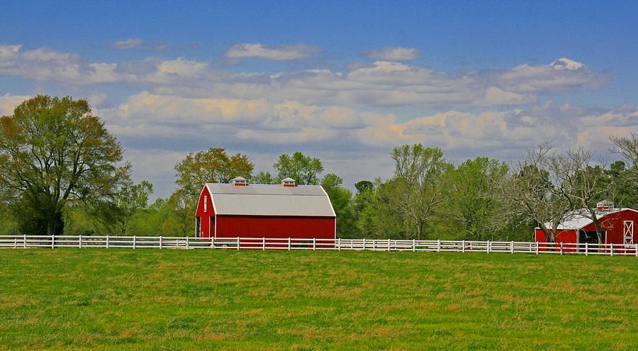 SC horse farm Photograph by Andy Lawless