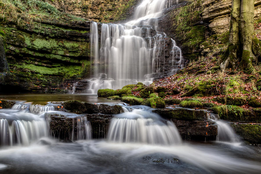Tree Photograph - Scaleber Force by Chris Frost