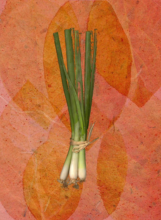 Scallions on Leaf Background Drawing by Jeff Venier