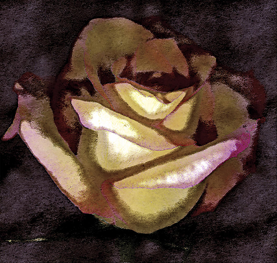 Abstract Photograph - Scanned Rose Water Color Digital Photogram by Paul Shefferly