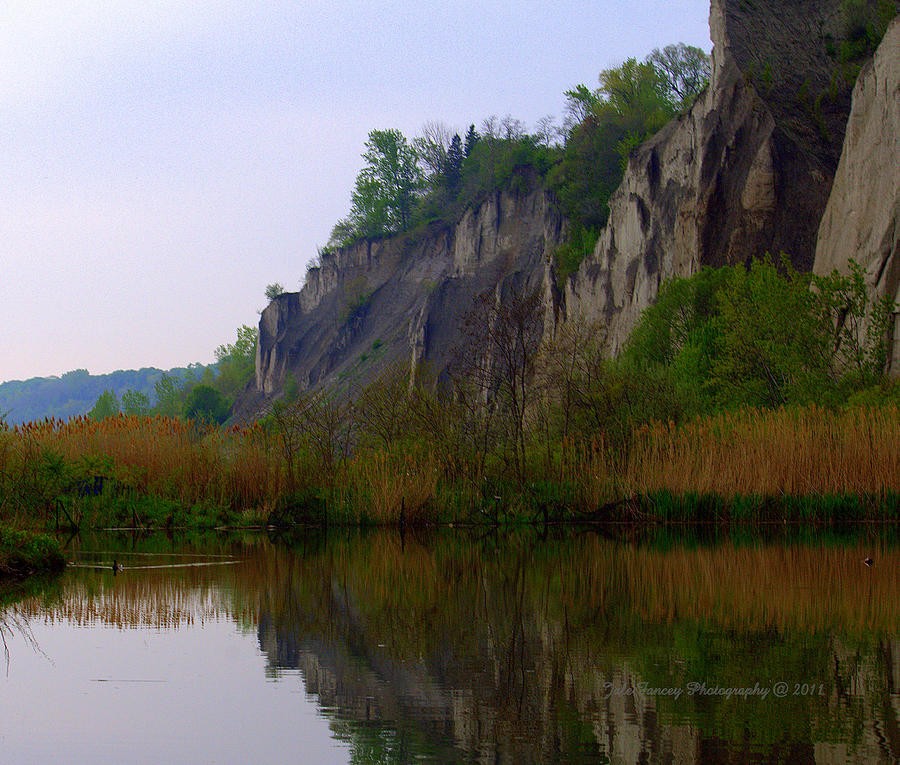 Scarborough Bluffs Photograph by Jale Fancey