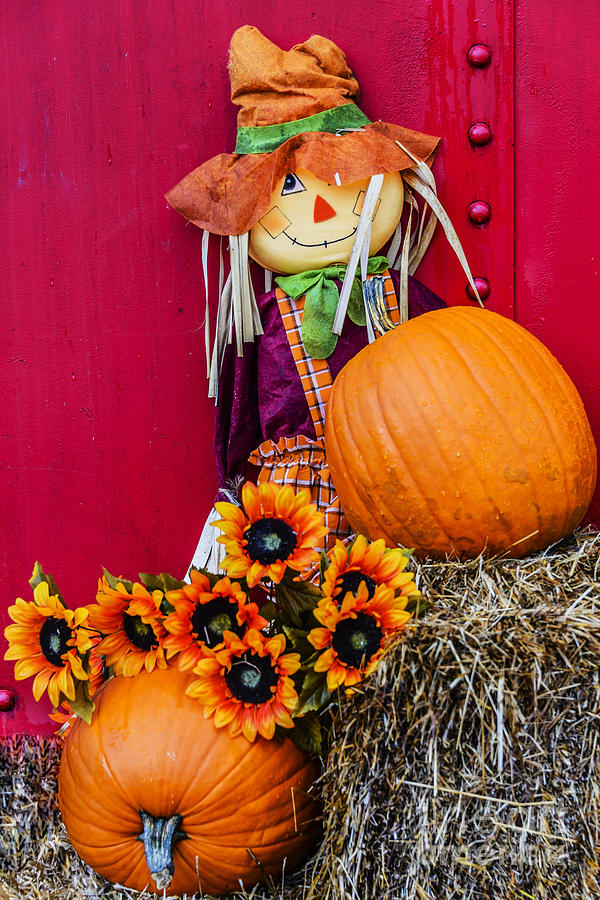 Scarecrow And The Pumpkin Photograph