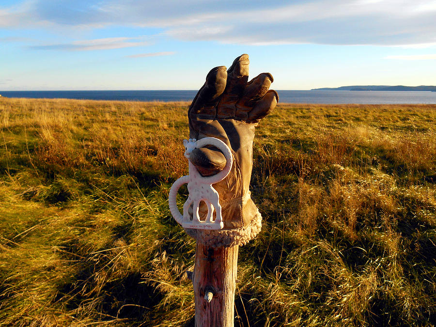 Scarecrow At Ferryland Photograph by Zinvolle Art