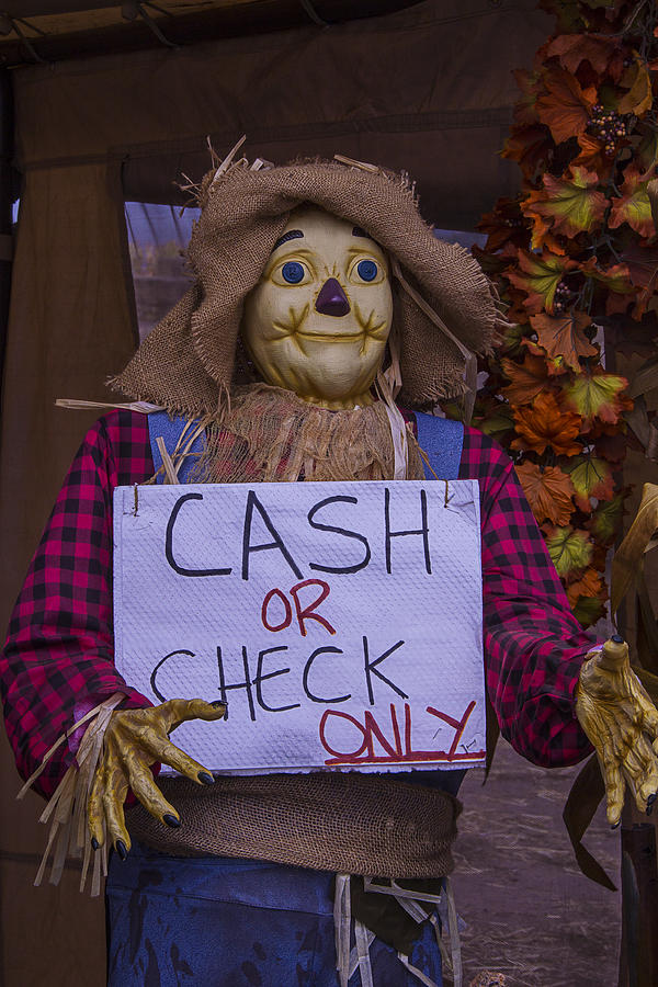 Sign Photograph - Scarecrow Holding Sign by Garry Gay