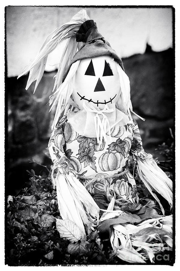 Scarecrow Photograph by John Rizzuto
