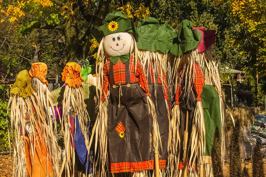 Scarecrow Photograph by Kathleen McGinley