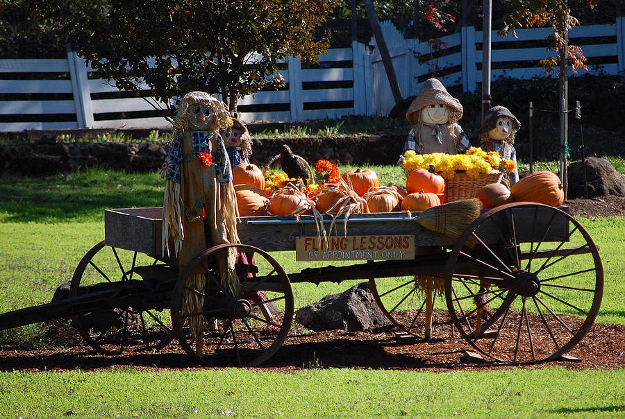 Scarecrow Rides Photograph by Holly Blunkall