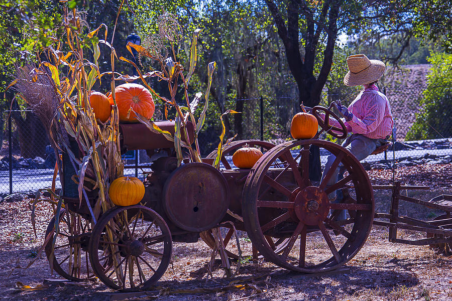 Pumpkin Photograph - Scarecrow Sitting On Tractor by Garry Gay