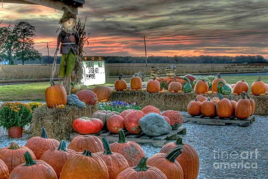 Scarecrow Standing Guard Photograph by  Gene  Bleile Photography 