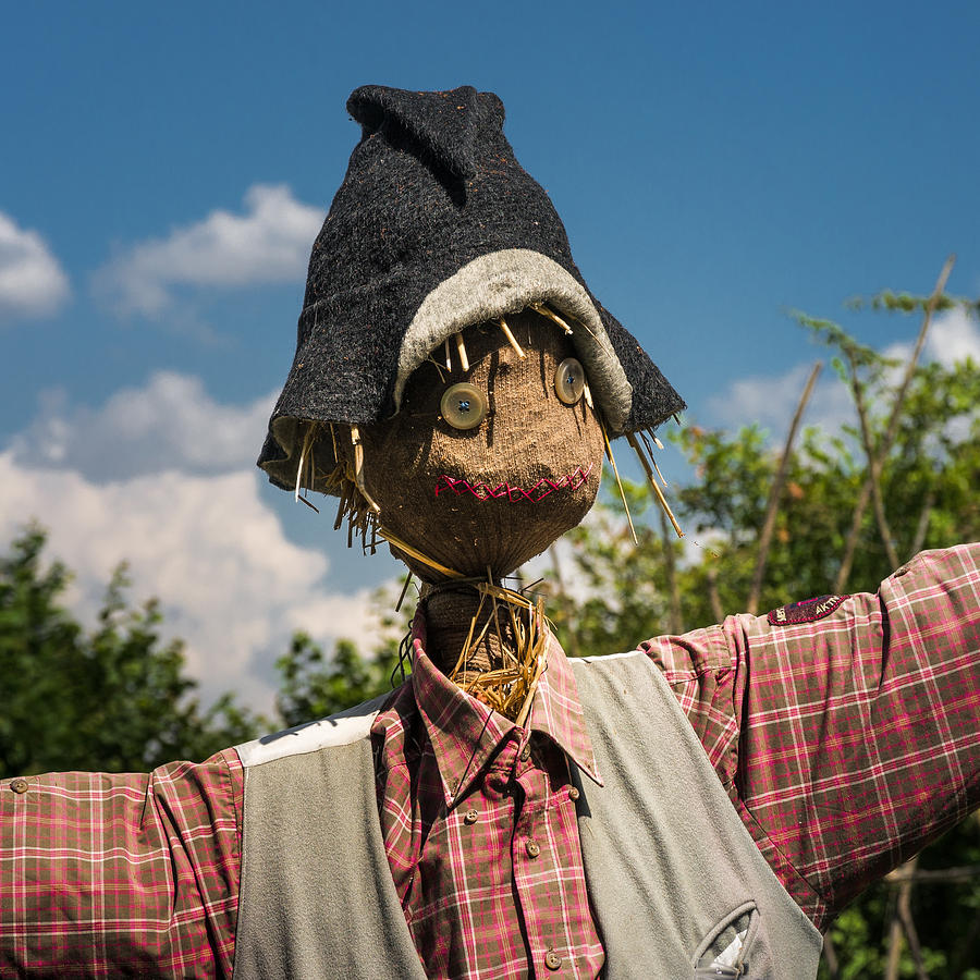 Scarecrow Photograph