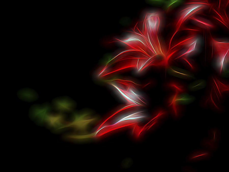 Scarlet Lily Digital Art by William Horden