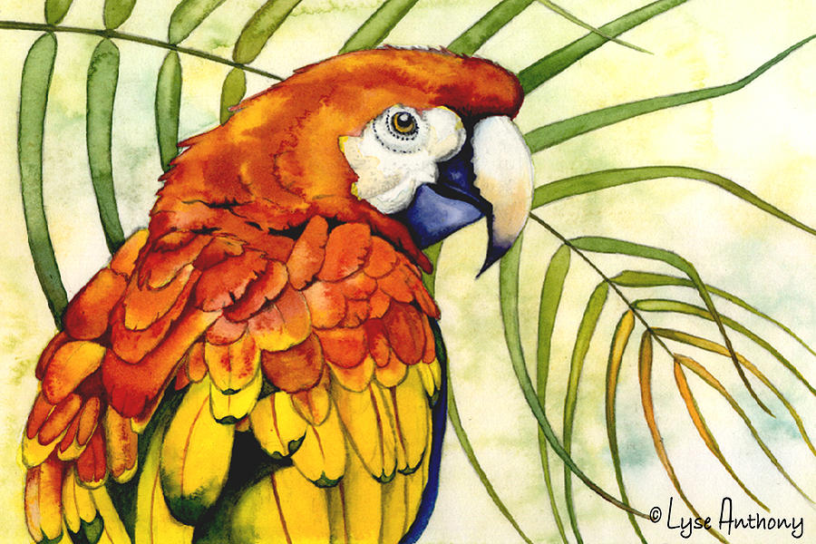 Bird Painting - Scarlet by Lyse Anthony