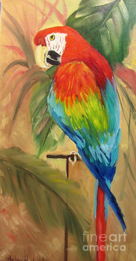Scarlet Macaw Painting by Barbara Haviland