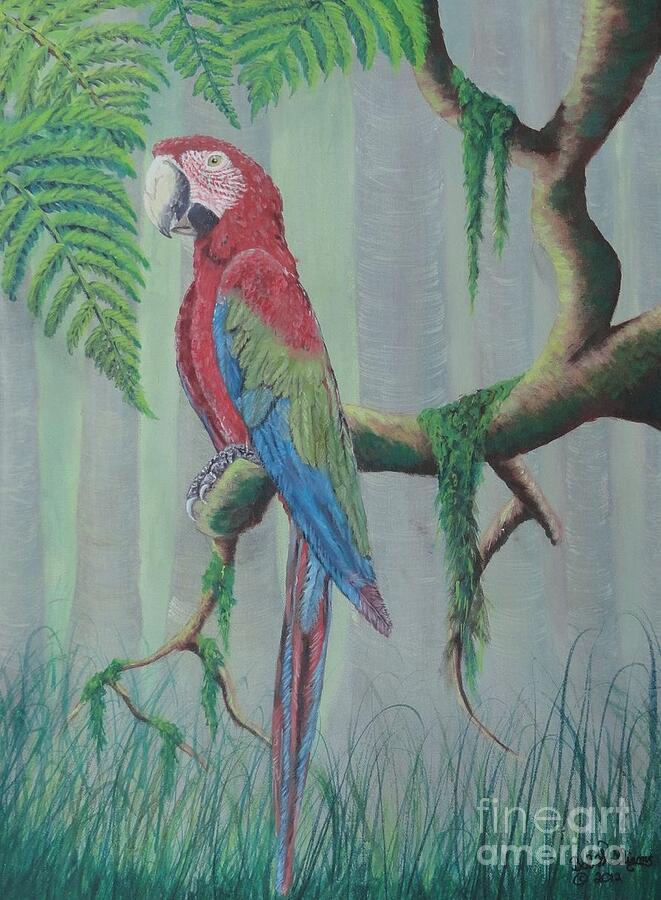 Scarlet Macaw Painting by Bob Williams