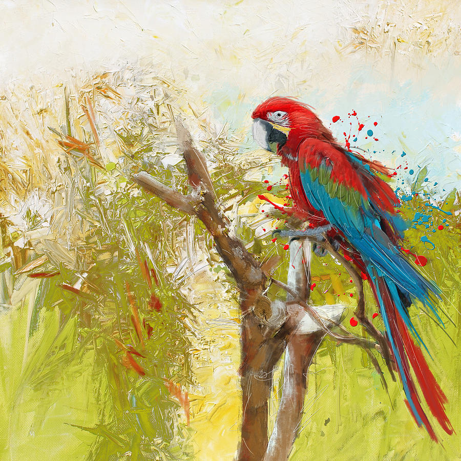 Scarlet Macaw Painting by Catf