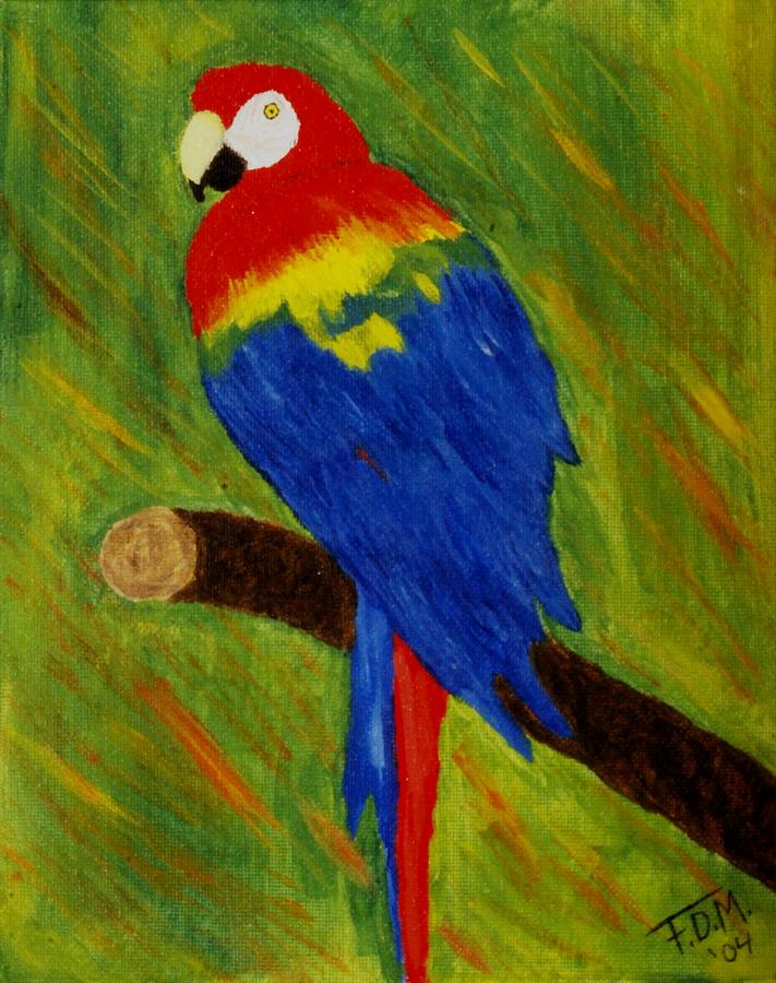 Scarlet Macaw Painting by Frank Middleton - Fine Art America