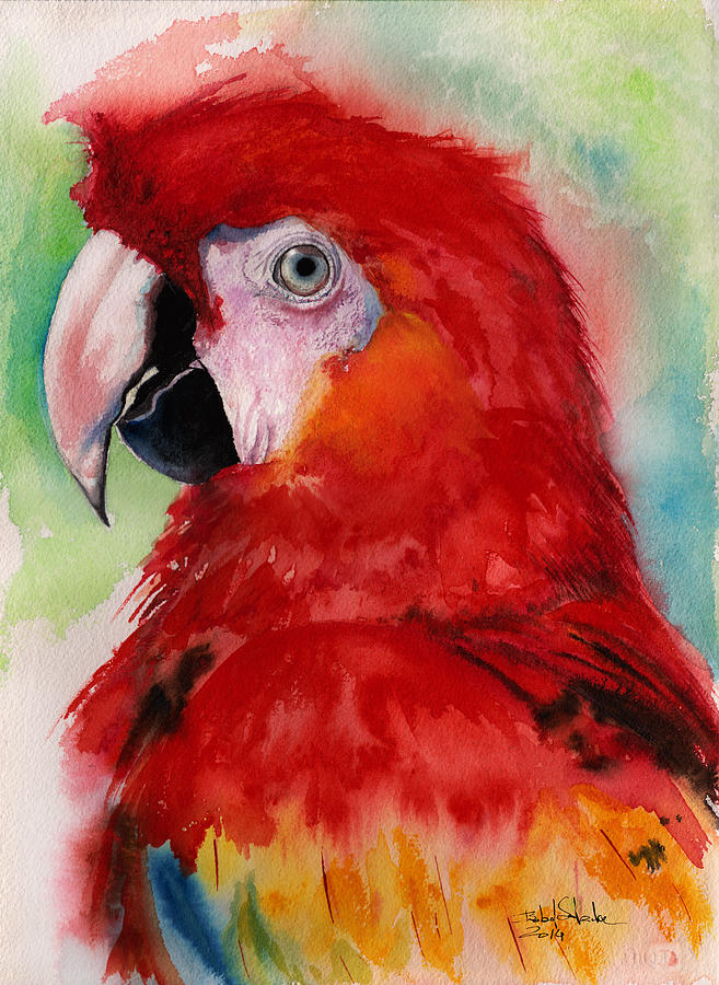 Scarlet Macaw Painting by Isabel Salvador