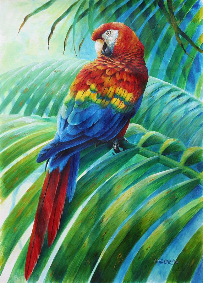 Parrot Painting - Scarlet Macaw on palm by Christopher Cox