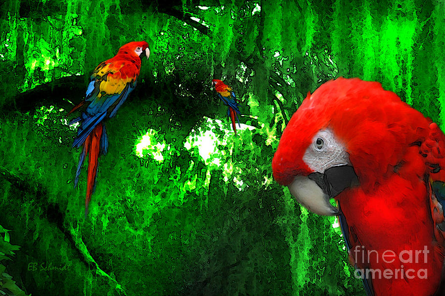 Scarlet Macaws Photograph by E B Schmidt