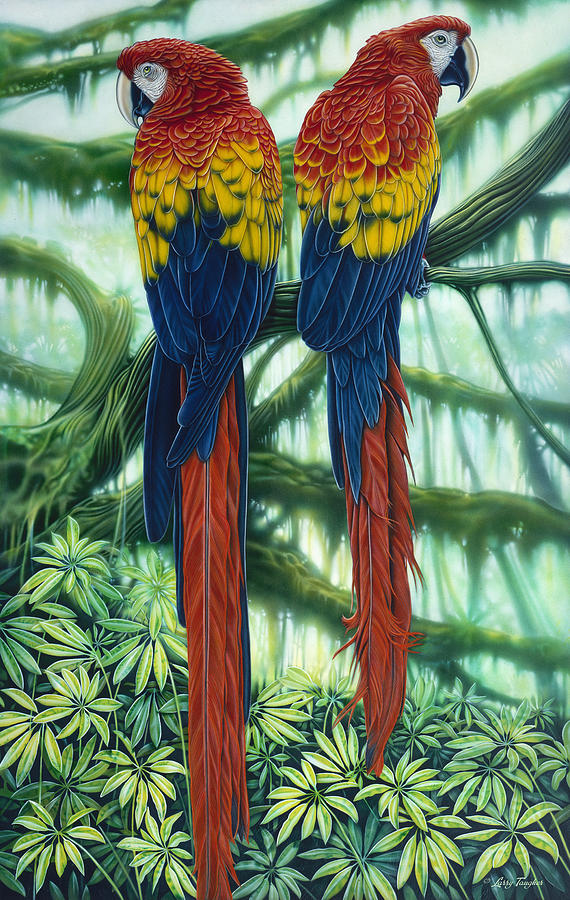 Scarlet Macaws Painting by JQ Licensing