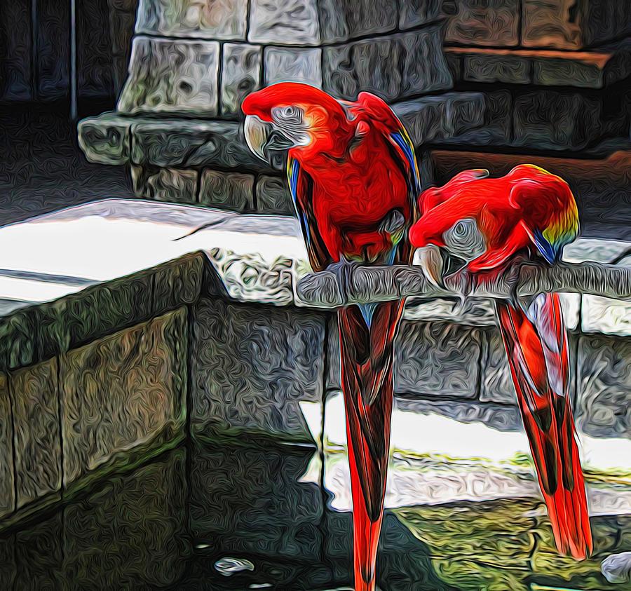 Scarlet Macaws Painted Photograph by Judy Vincent